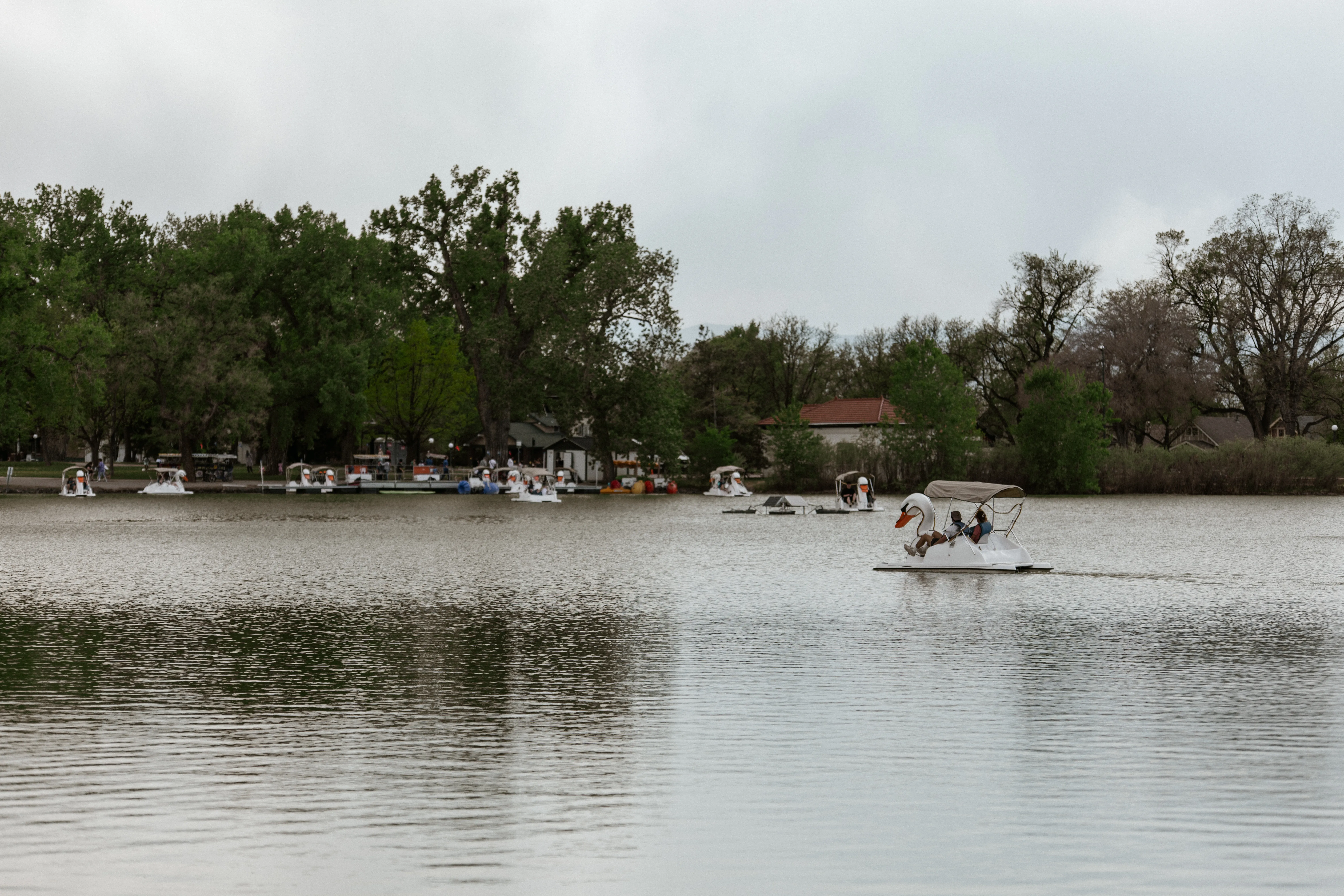 Quiet shoreline homes beyond the park