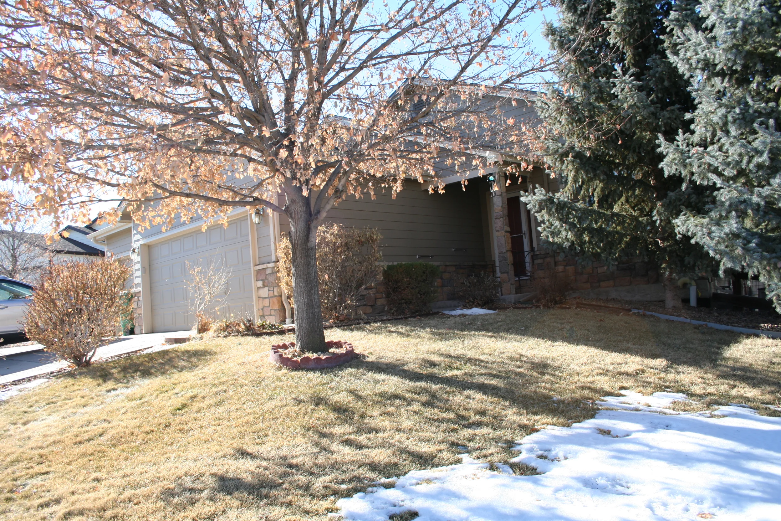 Property at 4606 Asbury Dr, Castle Rock, CO 80104