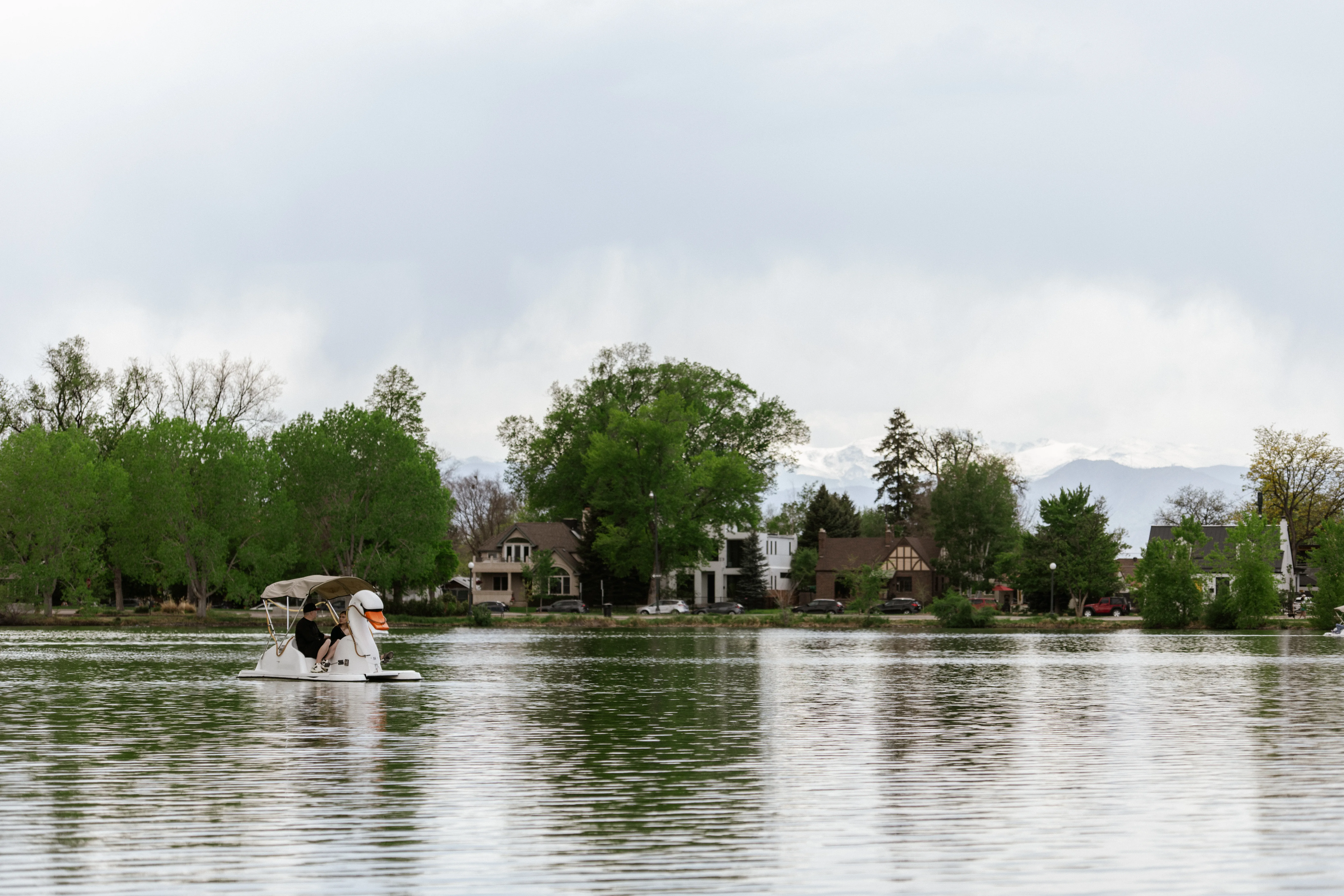 Solo swan boat on calm water