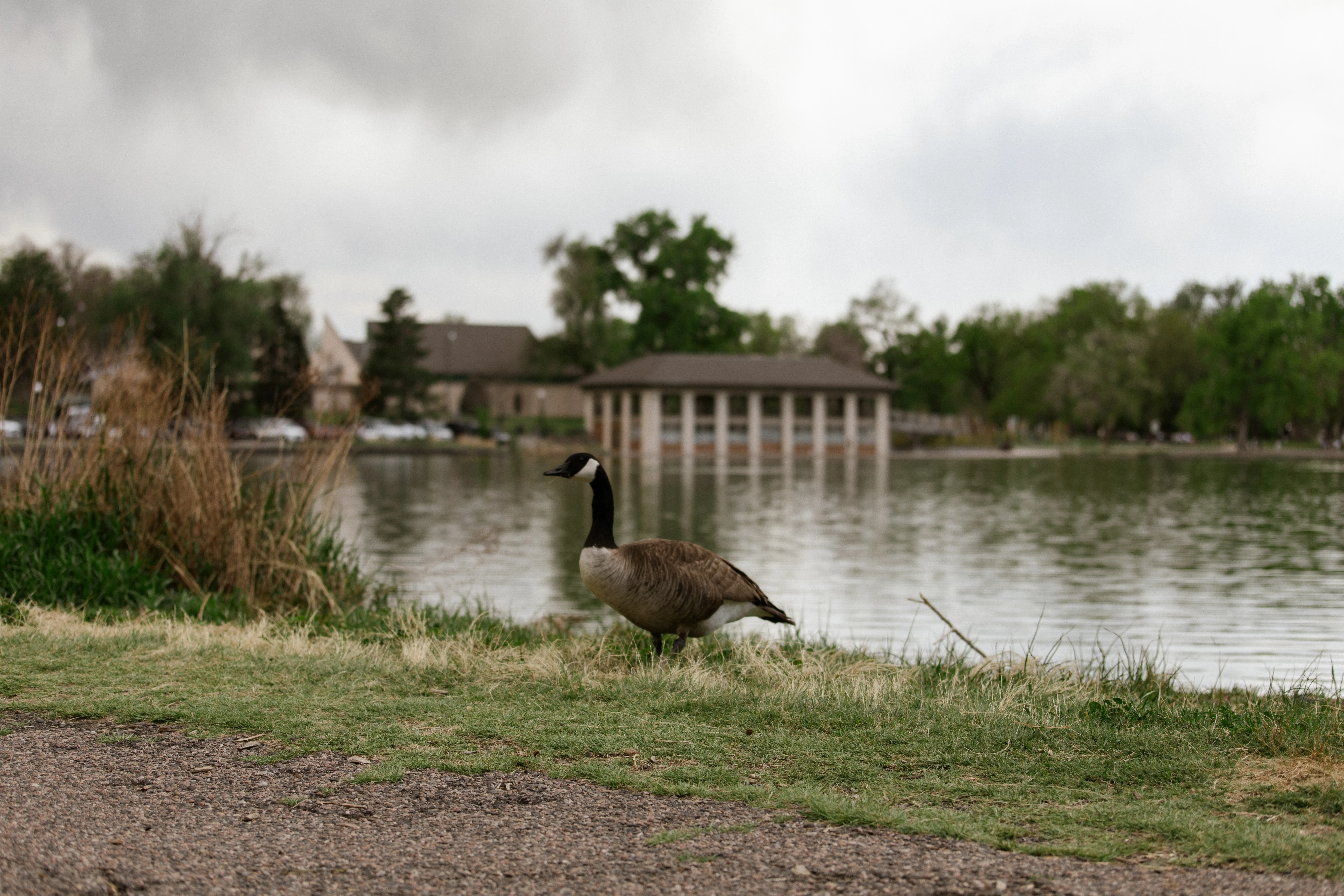 Storm light rolling over Washington Park