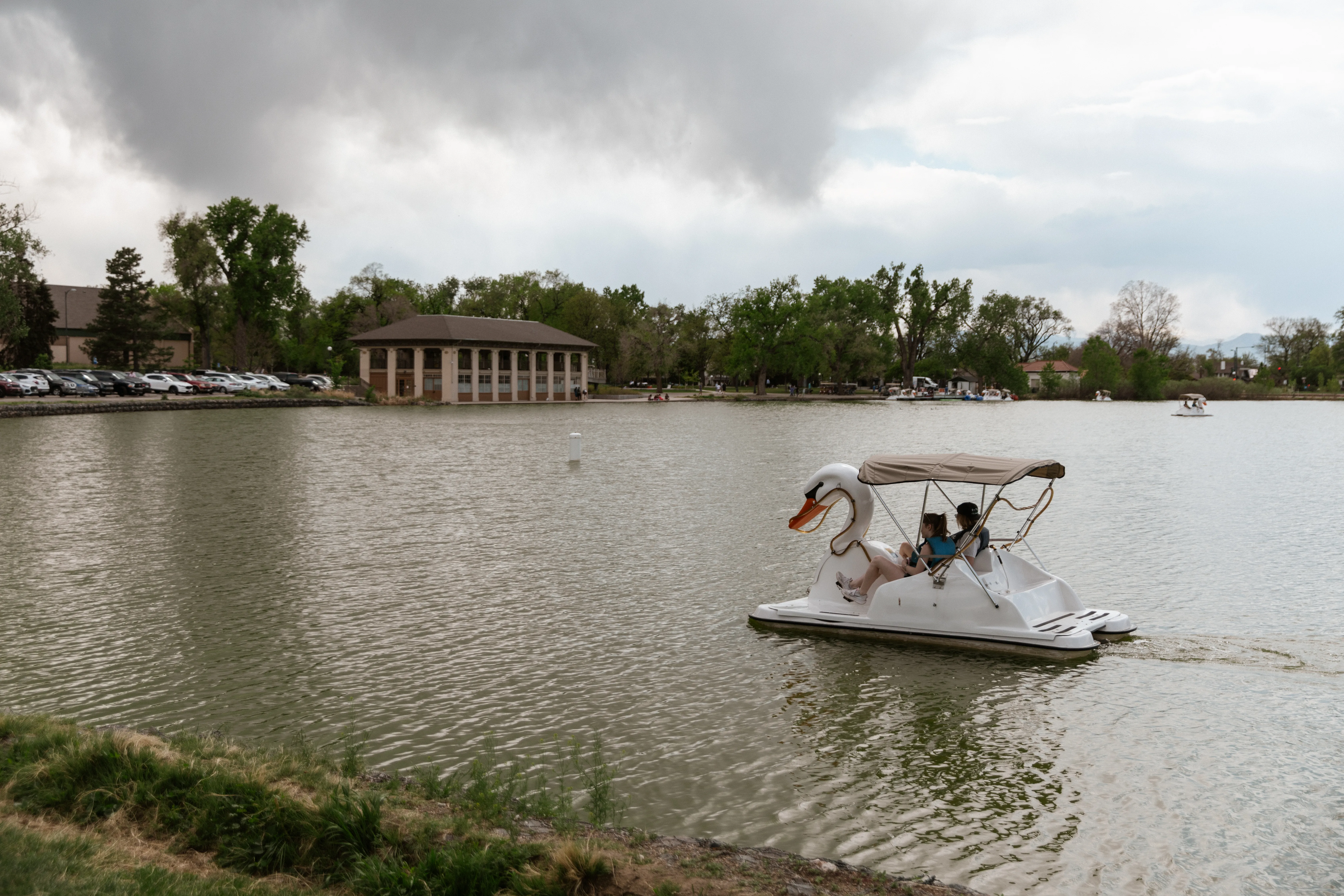 Geese along the shoreline at Washington Park