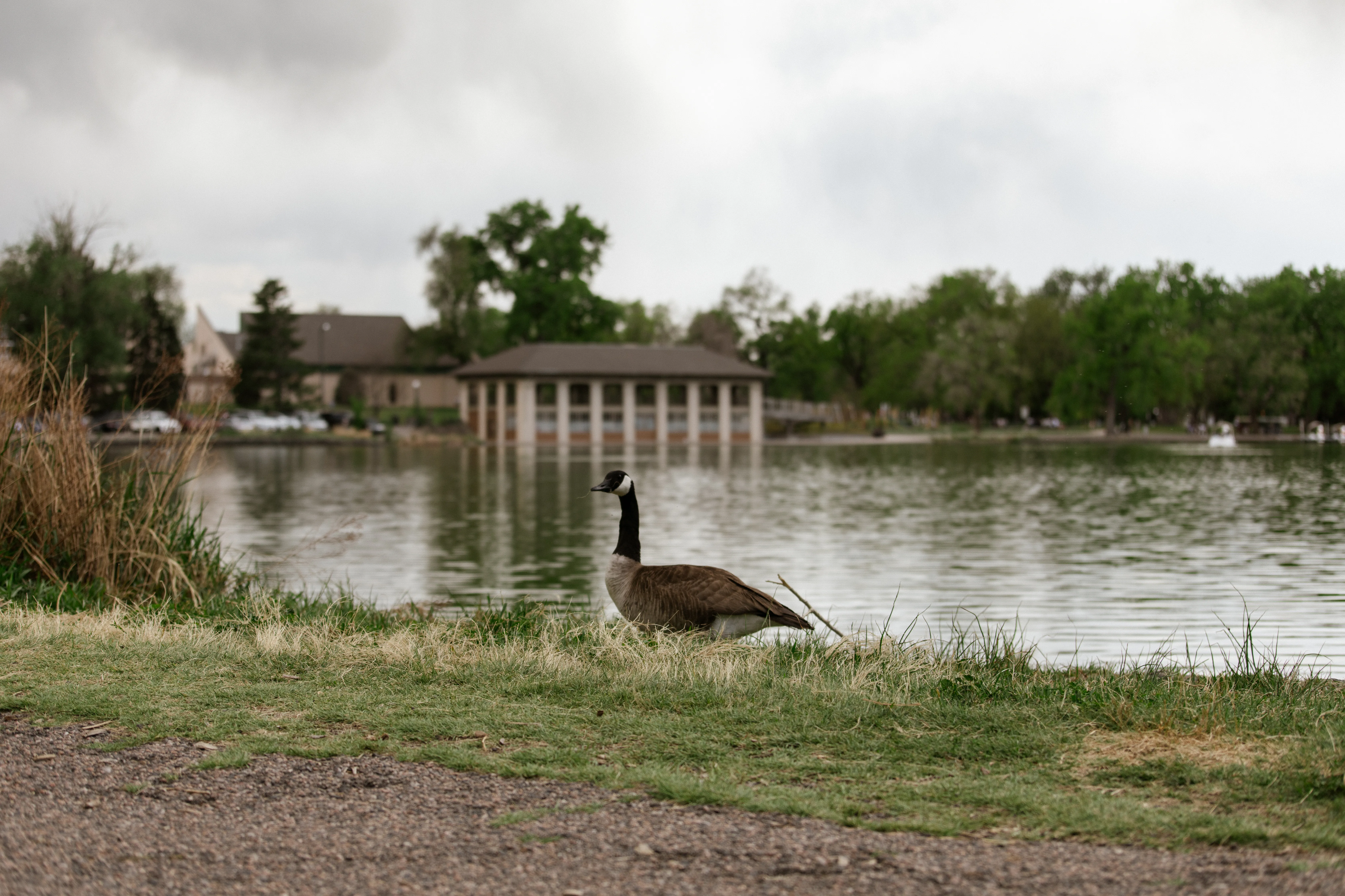 Lakefront homes under spring weather